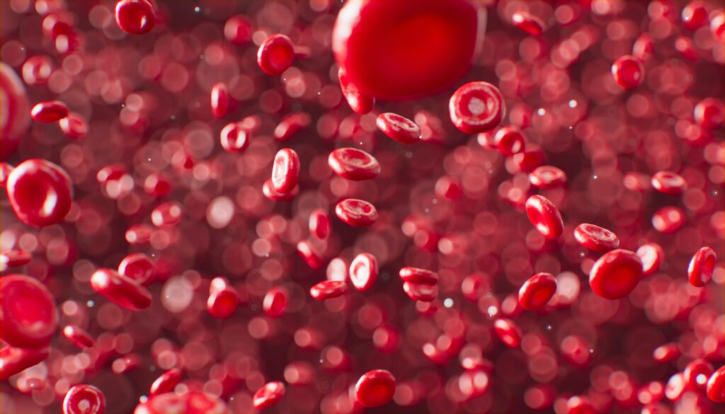 Model of red blood cells