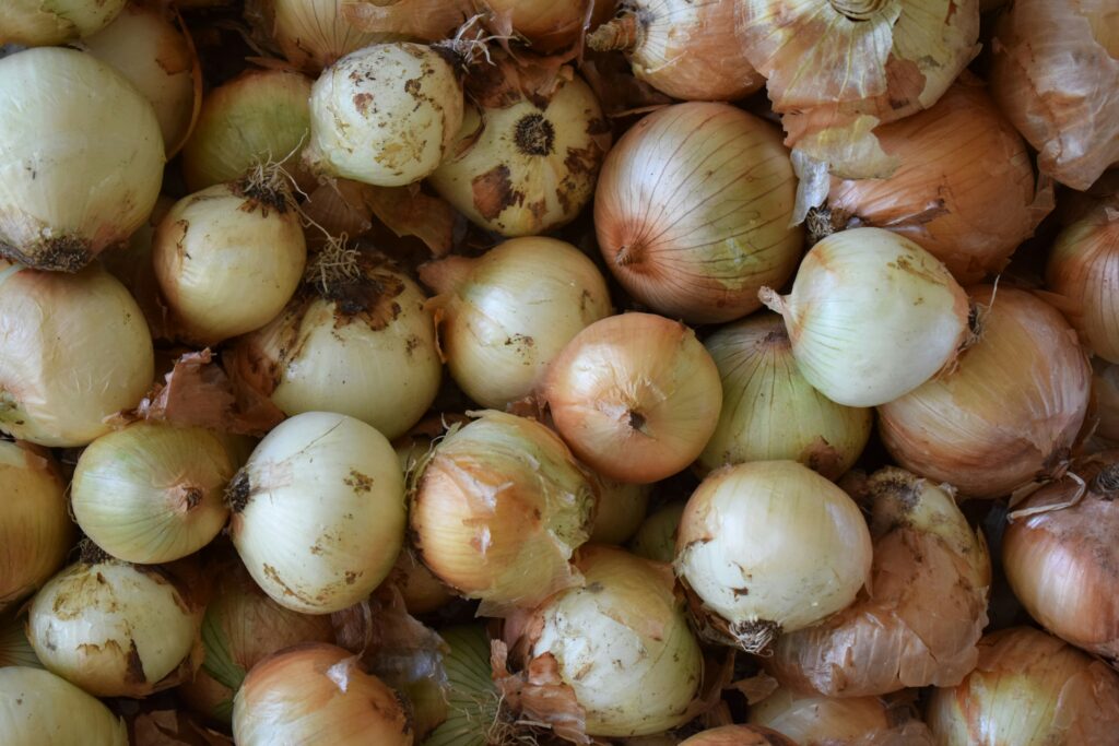 Yellow Onions in a pile